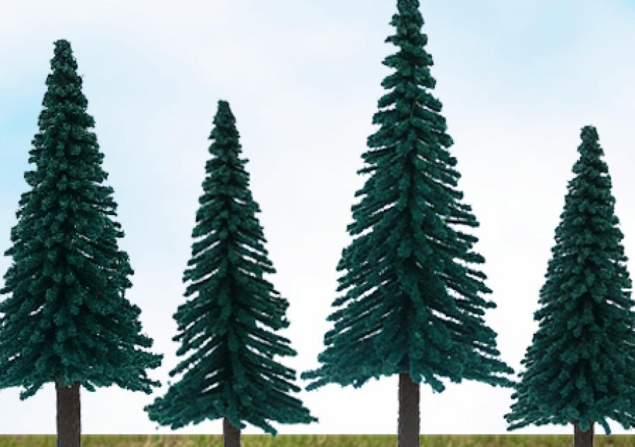 Scenic Pine