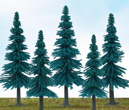 Scenic Blue Spruce