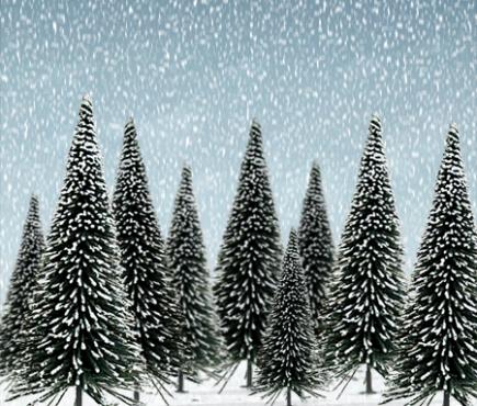 Scenic Snow Pine